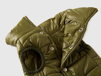 Casaco acolchoado verde para cães - ucb_image_DS1