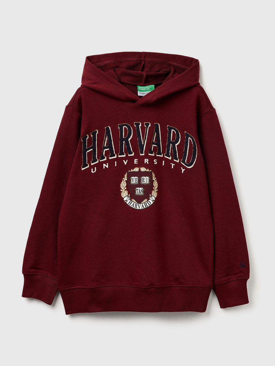 Sweat com capuz ©Harvard University - ucb_image_FS