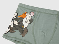 Boxers ©Disney Os Sete Anões - ucb_image_DS1