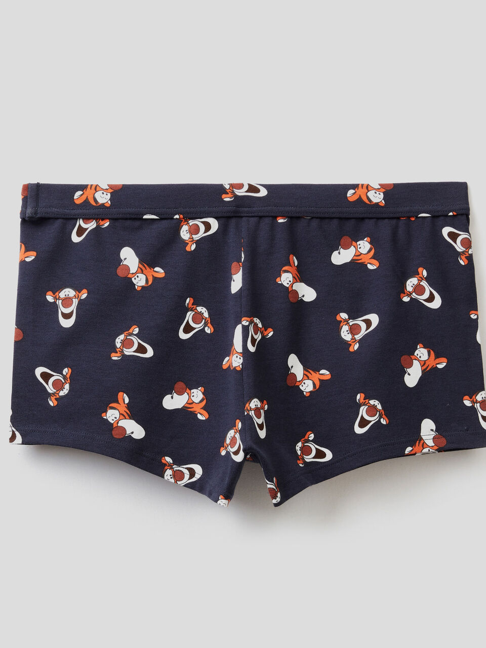 Boxer Tigro & Friends image number 2