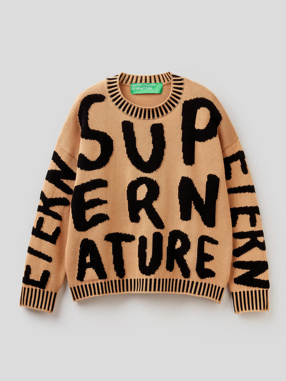 Maglia in cotone con motivo ad intarsio image number 1