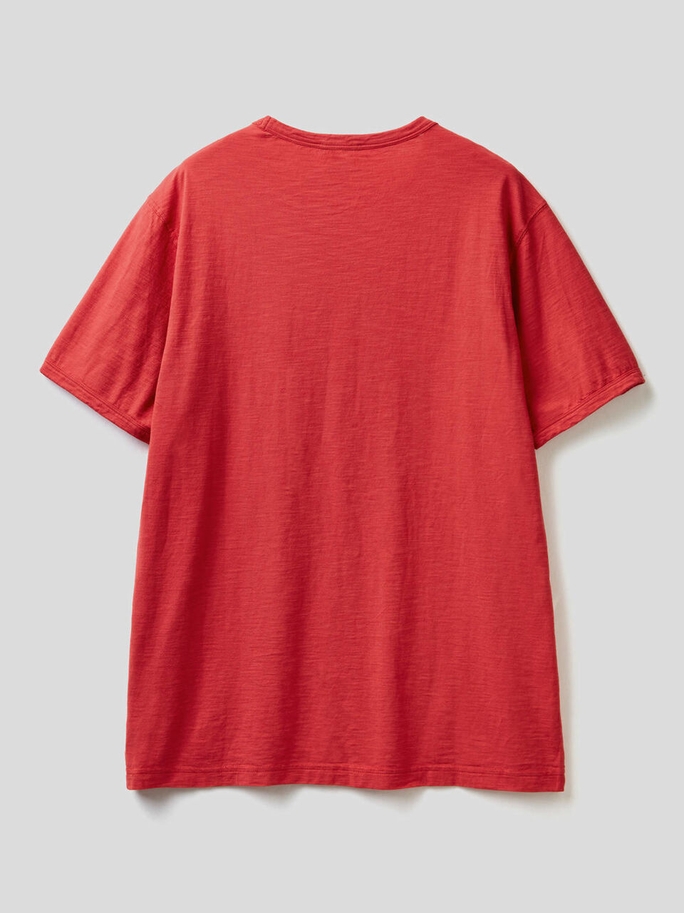 T-shirt in puro cotone con stampa image number 2