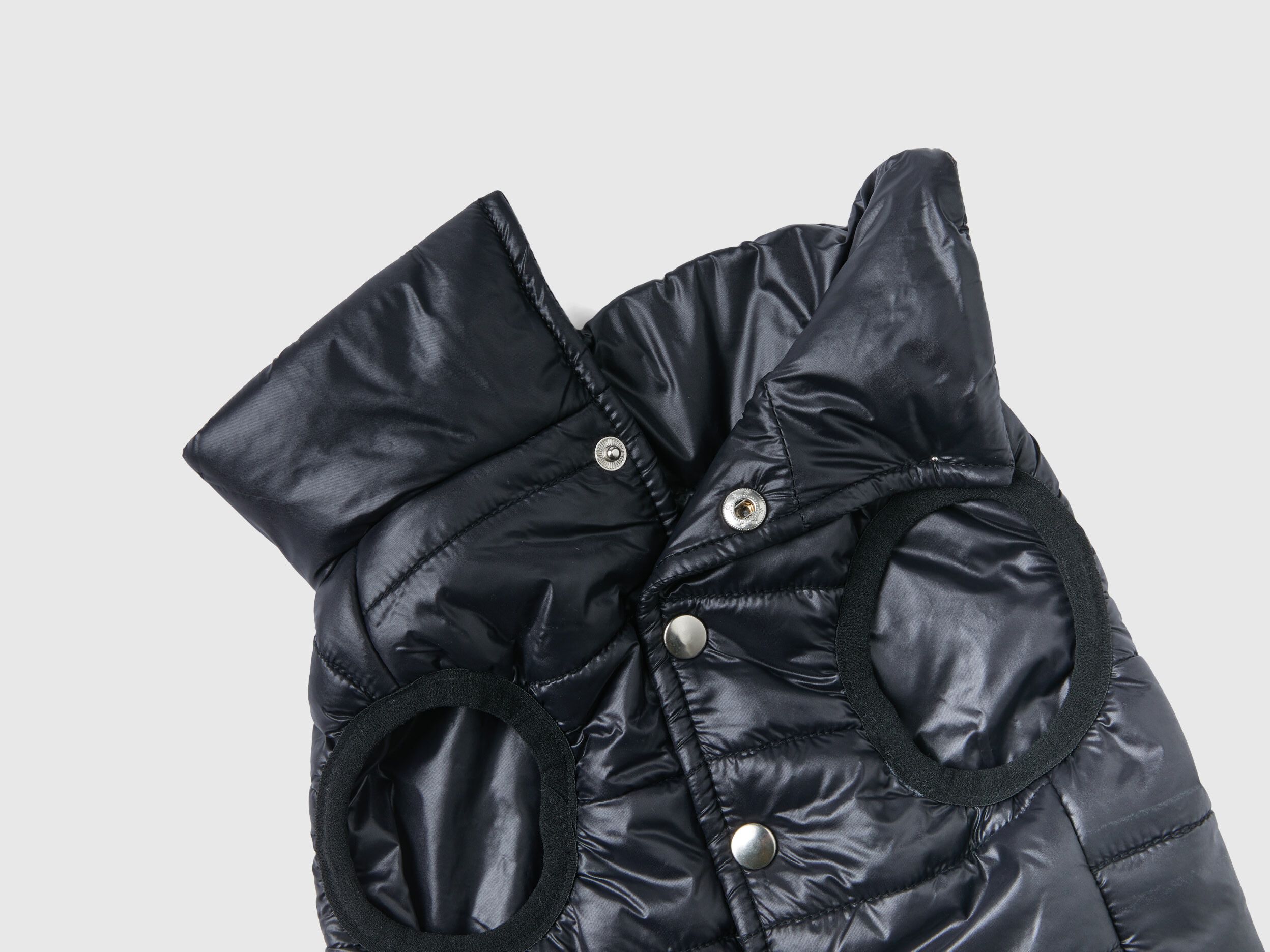 Piumino per cani benetton sales