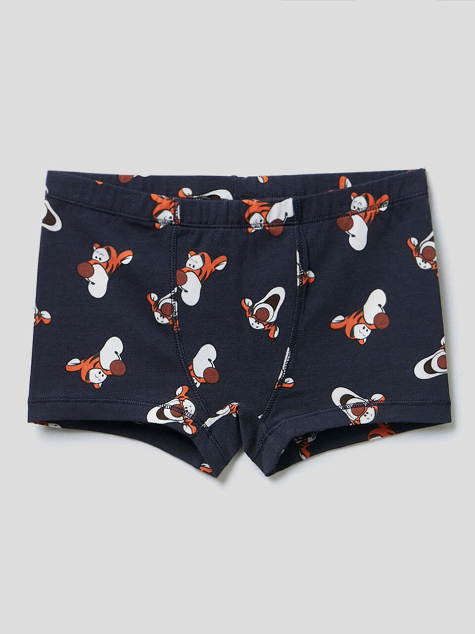 Boxer Tigro & Friends image number 1
