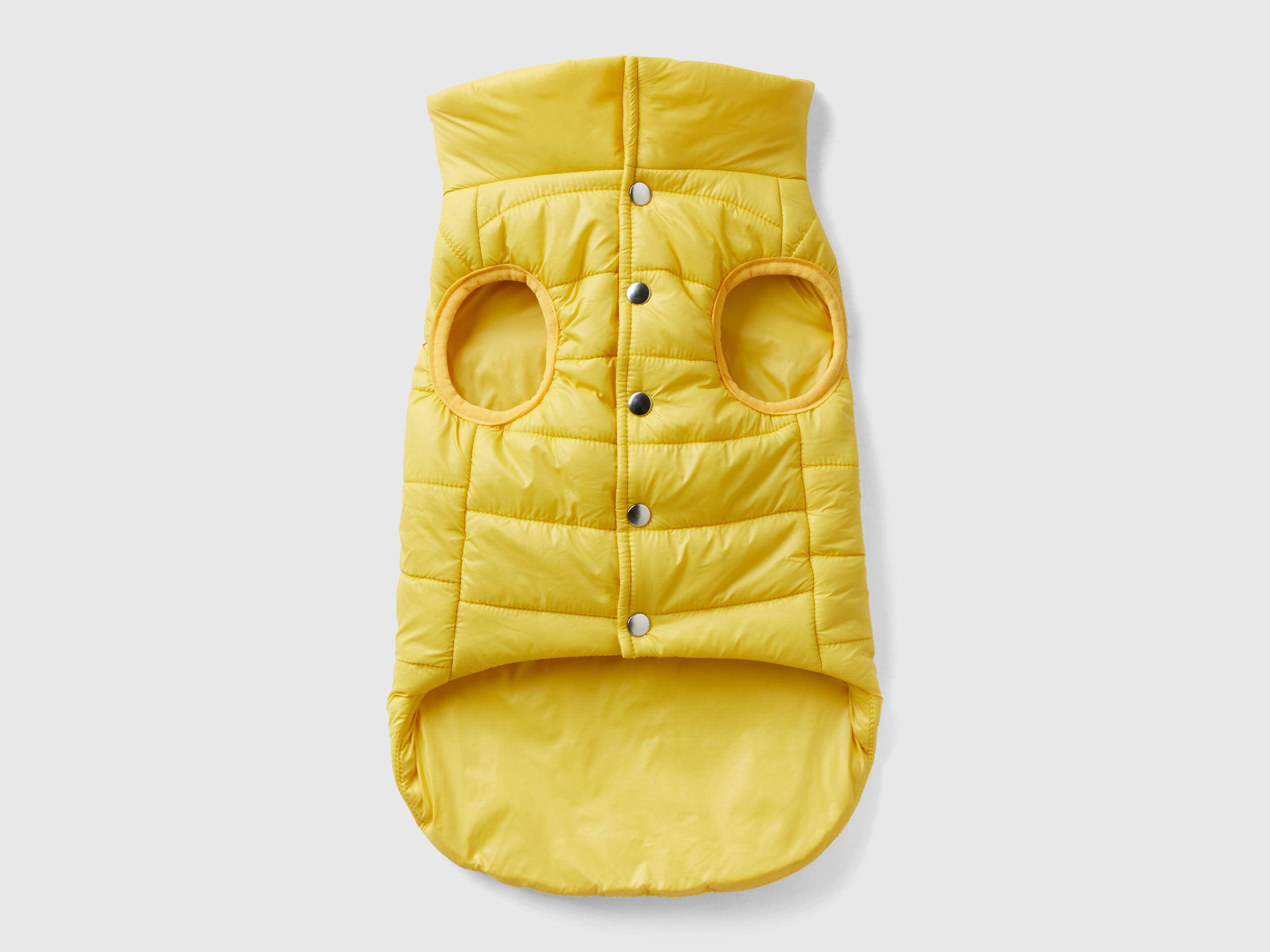 Piumino per cani benetton clearance