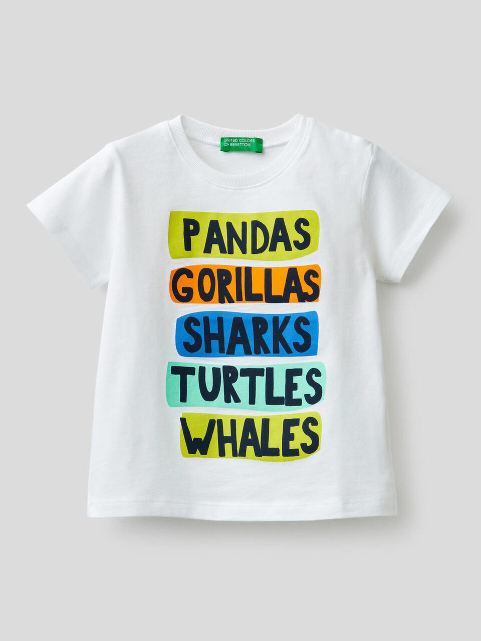 T-shirt in puro cotone con stampa image number 1