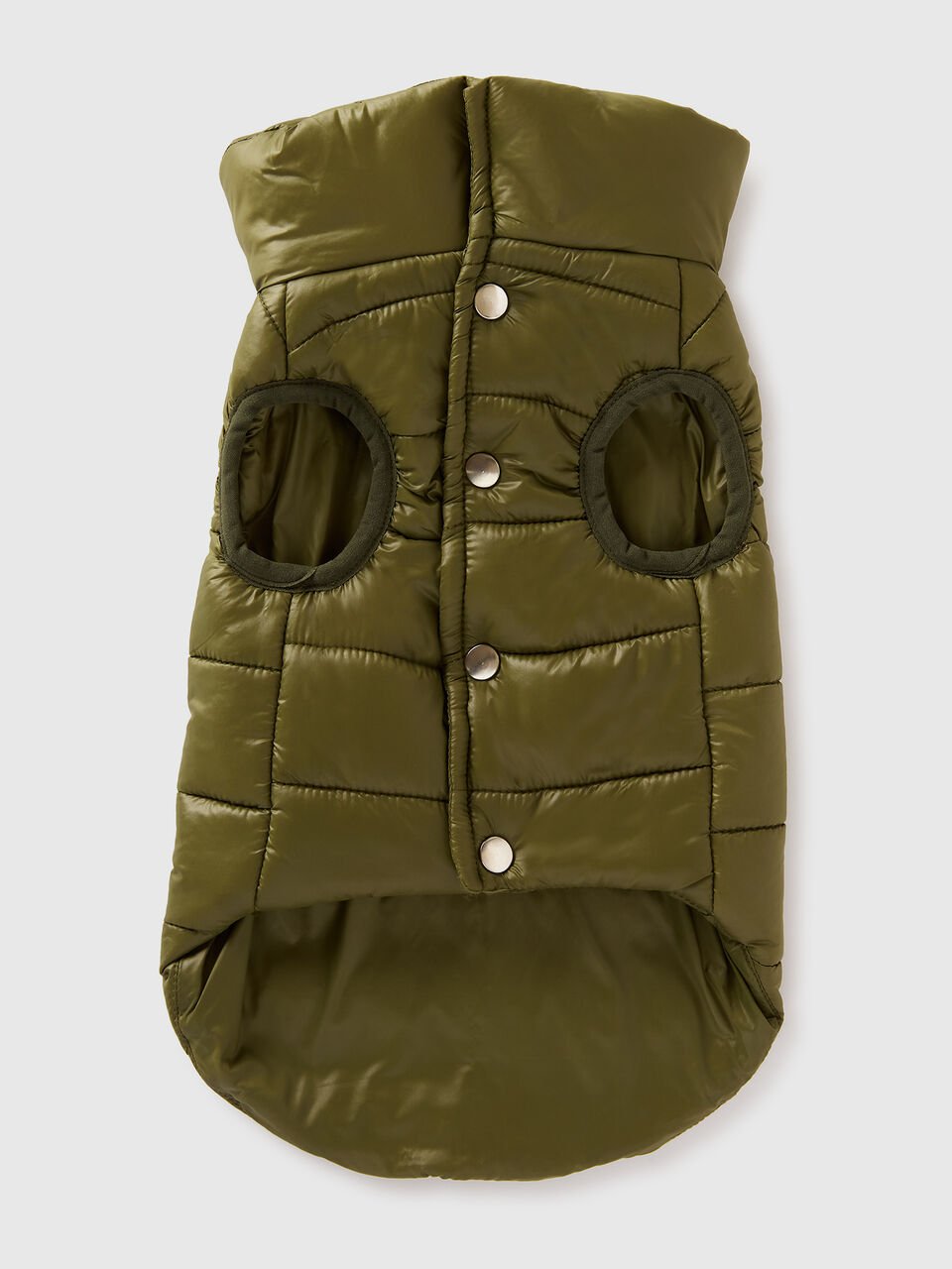 FINIMENTI X ANIMALI image number null