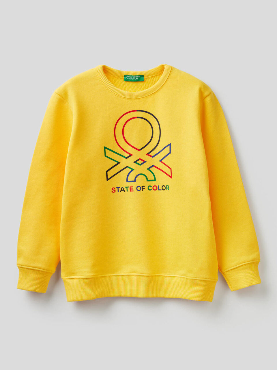 Felpa in puro cotone con logo image number 1