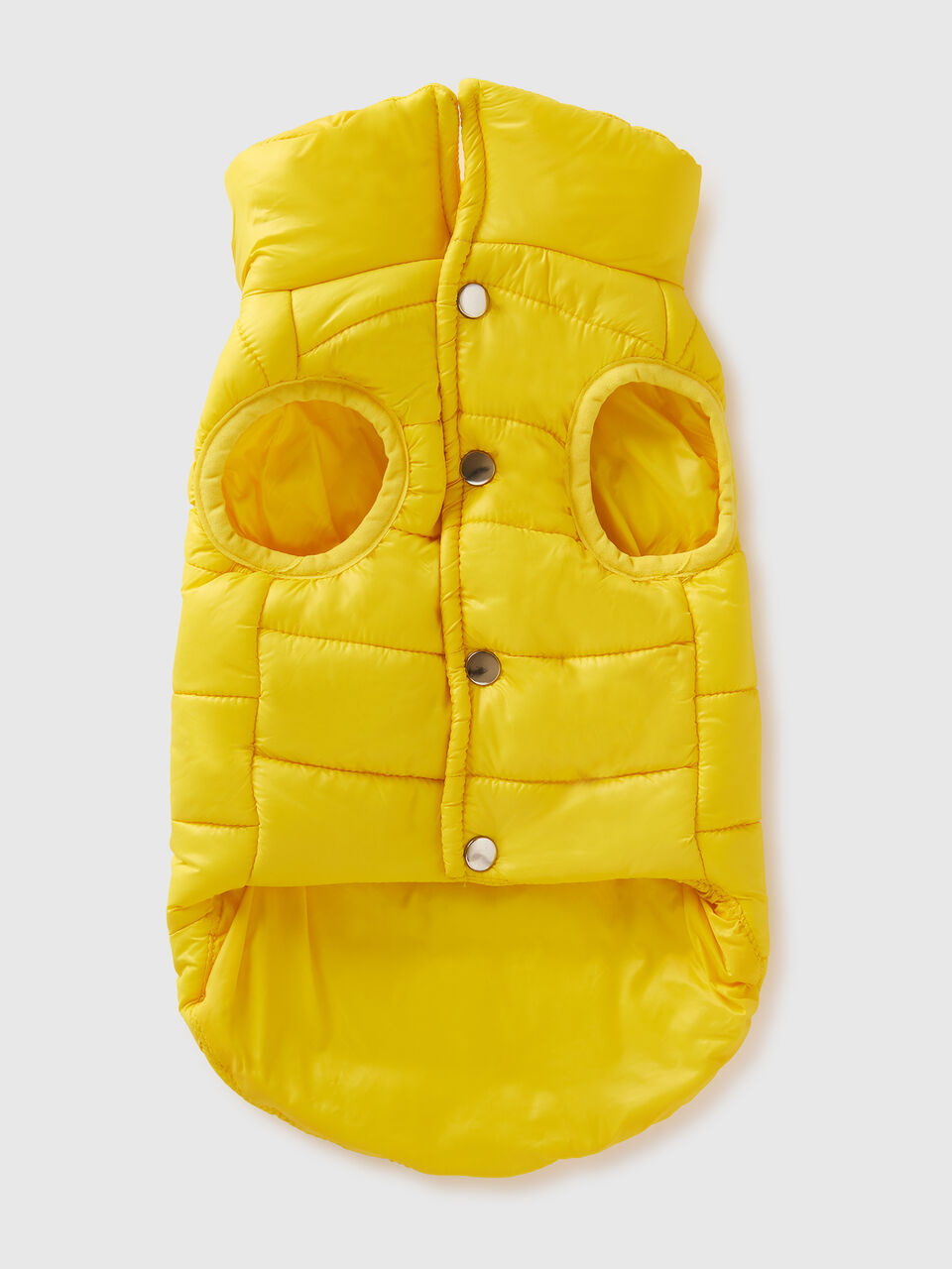 FINIMENTI X ANIMALI image number null