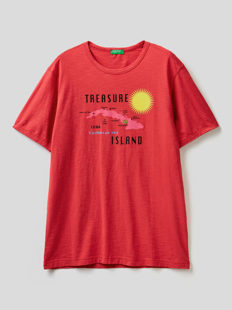T-shirt in puro cotone con stampa image number 1