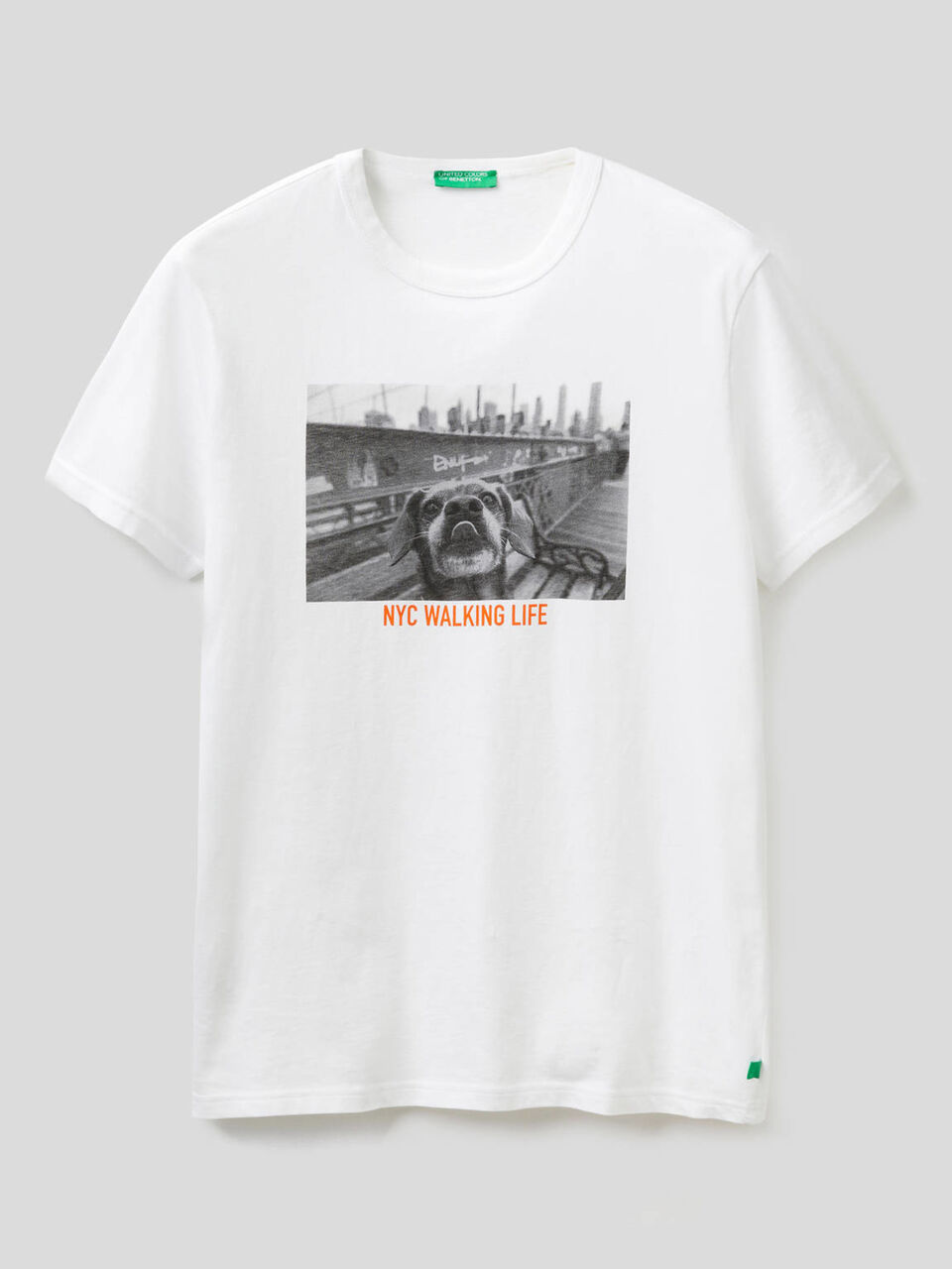 T-shirt con stampa in cotone biologico image number 1