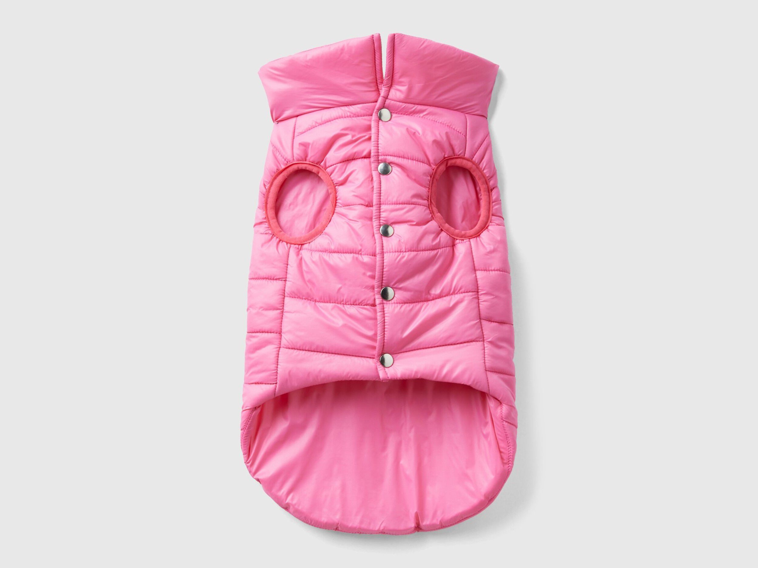 Piumino cane benetton store