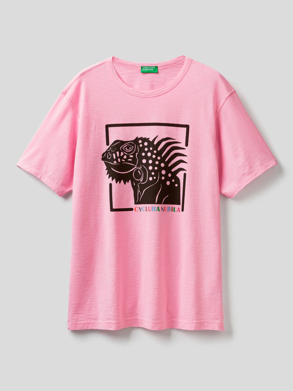 T-shirt in puro cotone con stampa image number 1