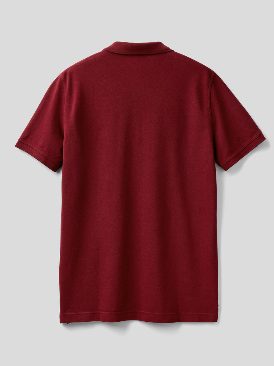 Polo a manica corta 100% cotone image number 2