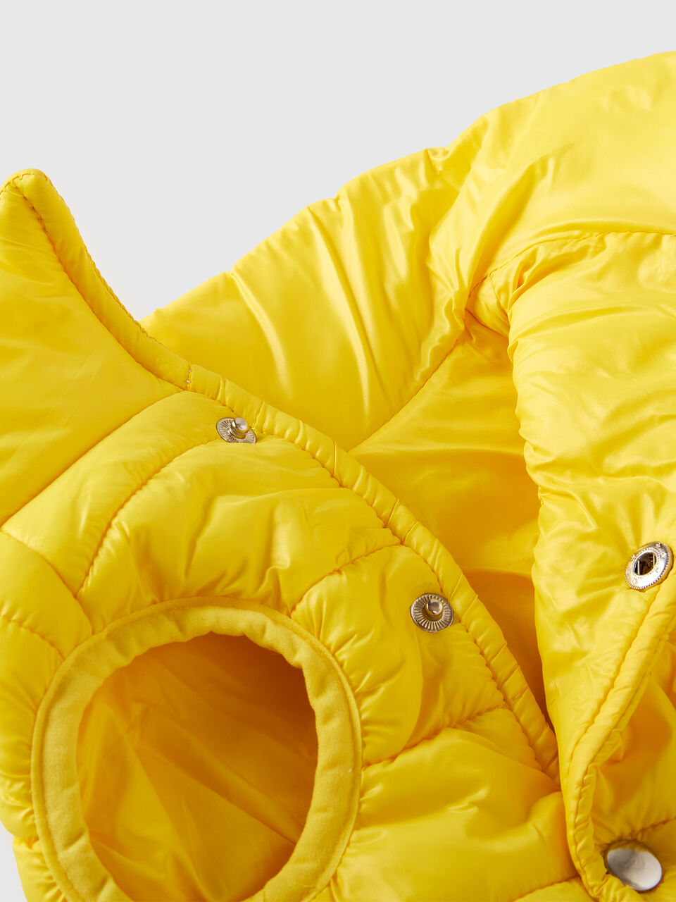 FINIMENTI X ANIMALI image number null