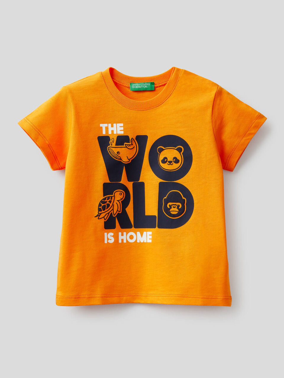 T-shirt in 100% cotone con stampa image number 1