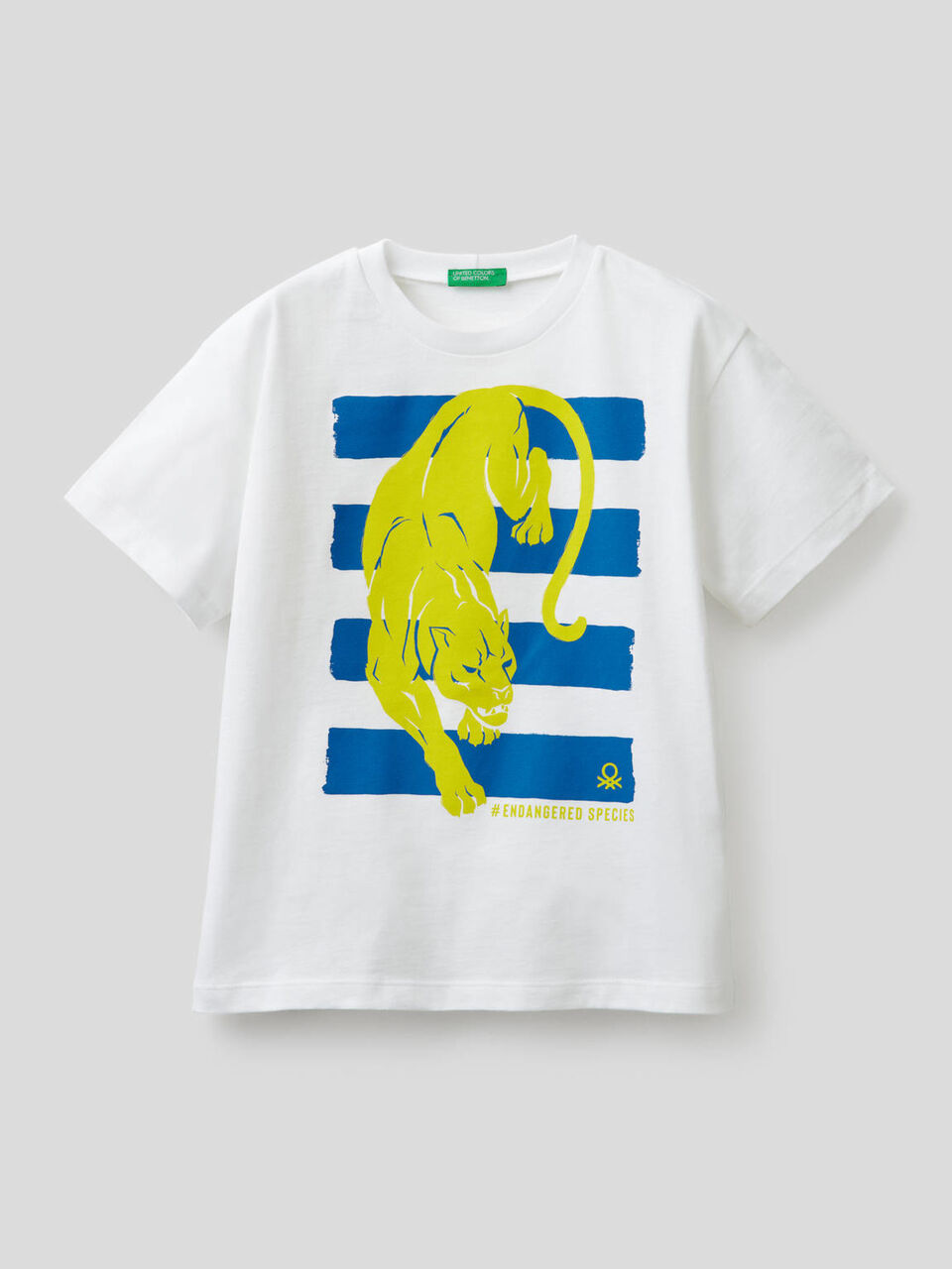 T-shirt in puro cotone con stampa image number 1