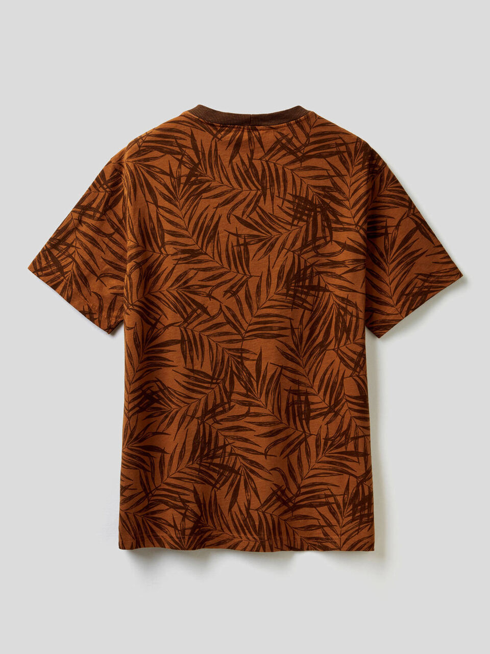 T-shirt fantasia 100% cotone image number 2